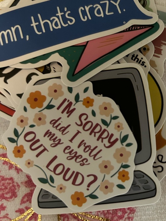Other - Pack of Sassy Stickers Decorative Vinyl Stickers